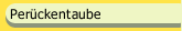 Perückentaube